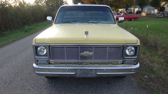 1979 Chevrolet Cheyenne CHEYENNE - photo 9