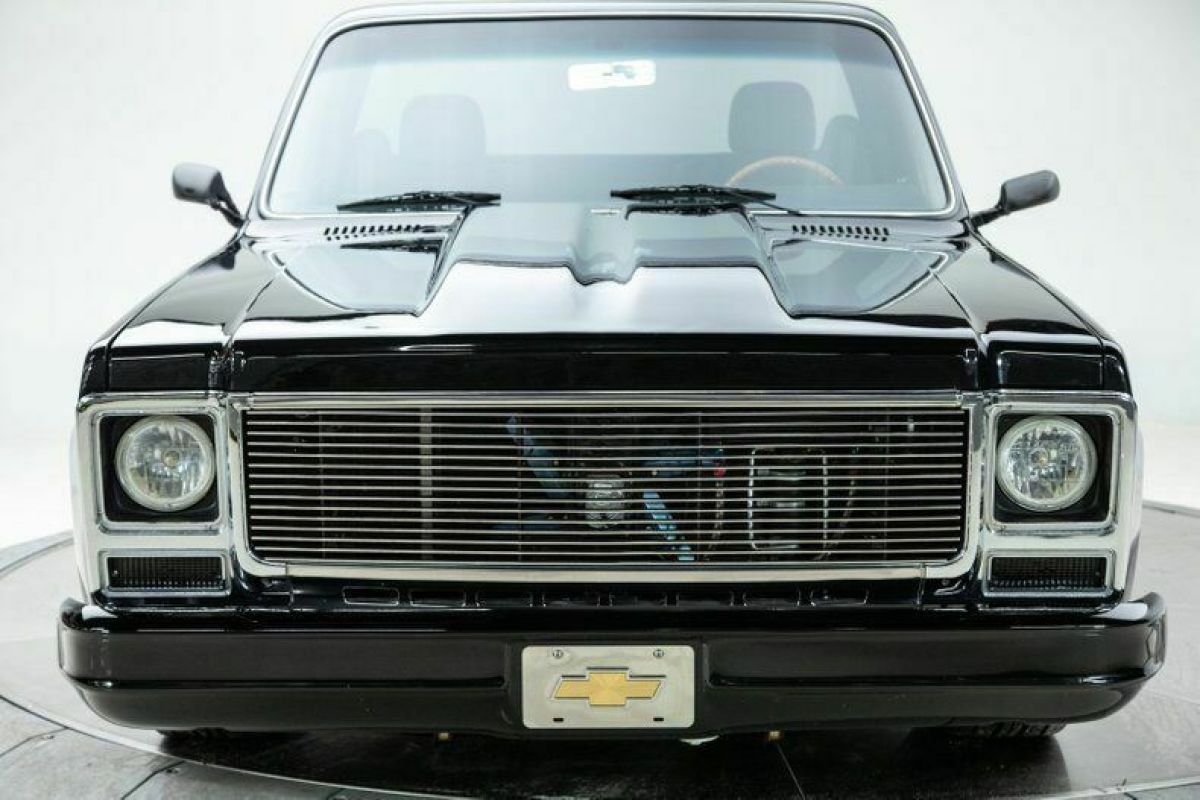 1979 Chevrolet Other Pickups - photo 4