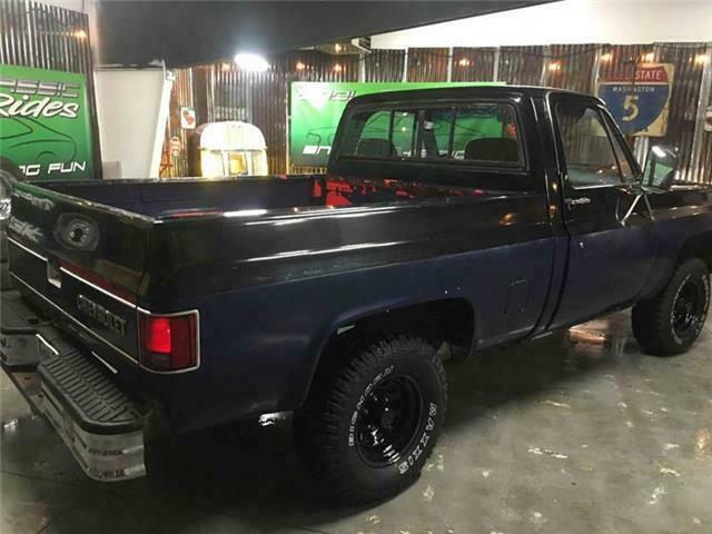 1979 Chevrolet C/K Pickup 1500 Sports Truck 4x4 - photo 11