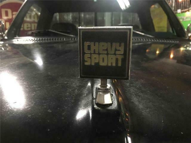 1979 Chevrolet C/K Pickup 1500 Sports Truck 4x4 - photo 4