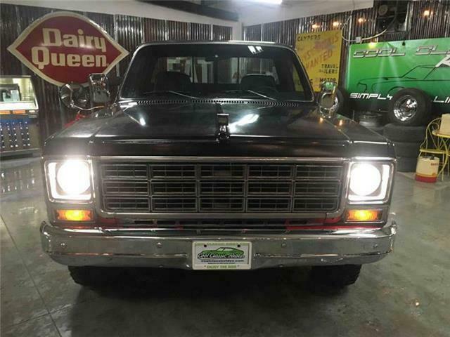 1979 Chevrolet C/K Pickup 1500 Sports Truck 4x4 - photo 5