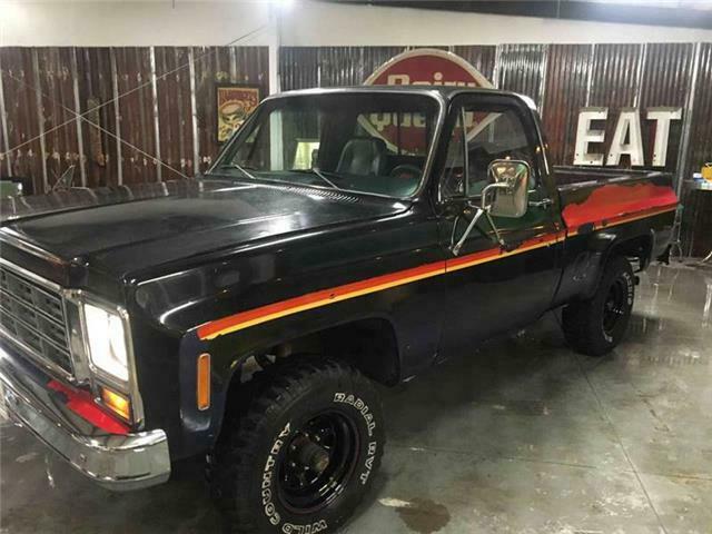 1979 Chevrolet C/K Pickup 1500 Sports Truck 4x4 - photo 6