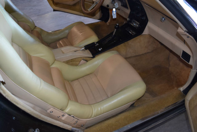 1979 Chevrolet Corvette Base Coupe 2-Door - photo 9