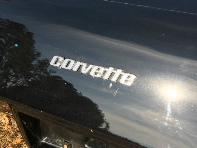 1979 Chevrolet Corvette Base Coupe 2-Door T-Top - photo 10