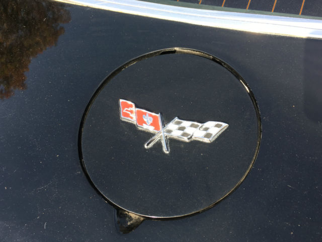 1979 Chevrolet Corvette Base Coupe 2-Door T-Top - photo 11