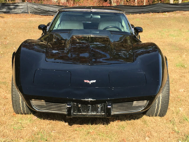 1979 Chevrolet Corvette Base Coupe 2-Door T-Top - photo 2