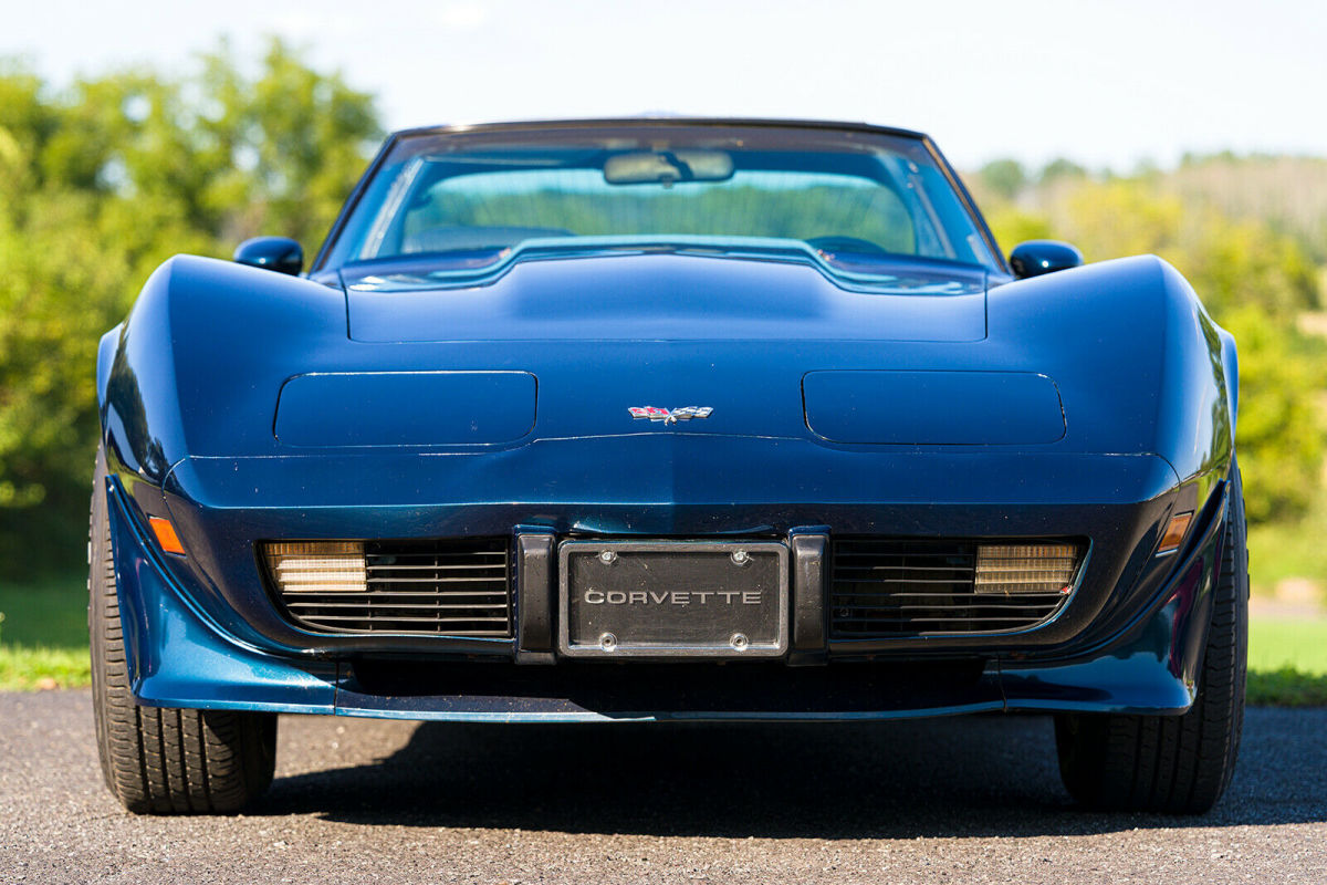 1979 Chevrolet Corvette - photo 7