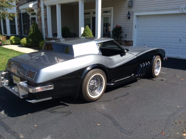 1979 Chevrolet Corvette Caballista Custom, One of a Kind - photo 6