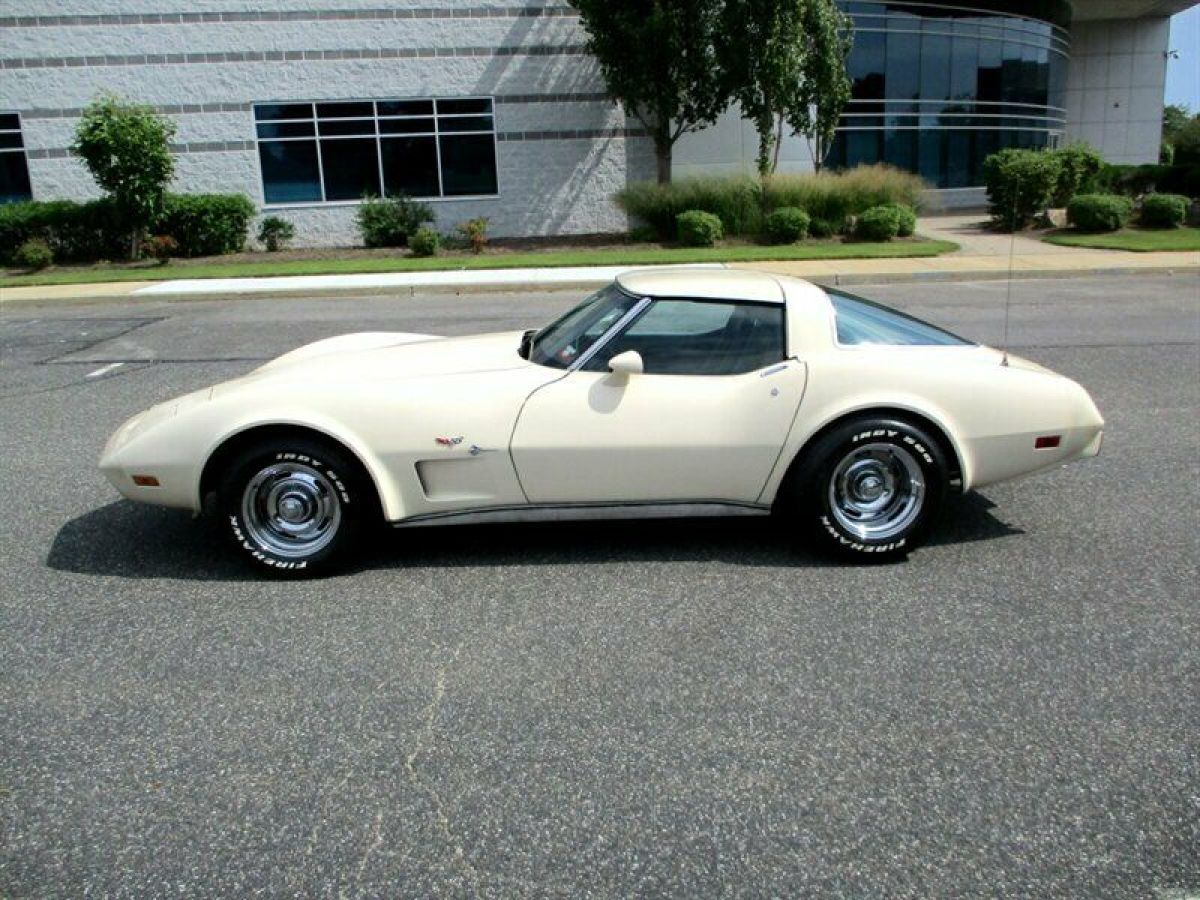 1979 Chevrolet Corvette Coupe - photo 10