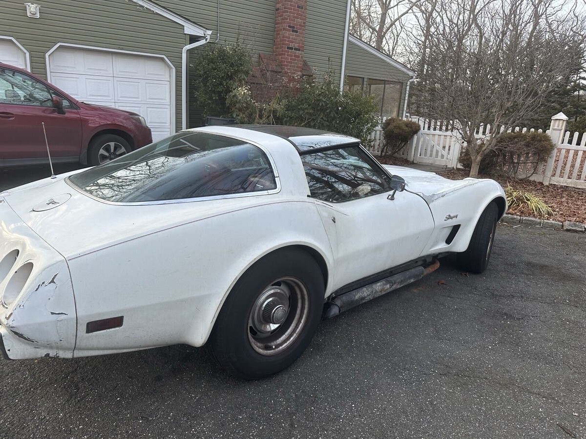 1979 Chevrolet Corvette Stingray - photo 2