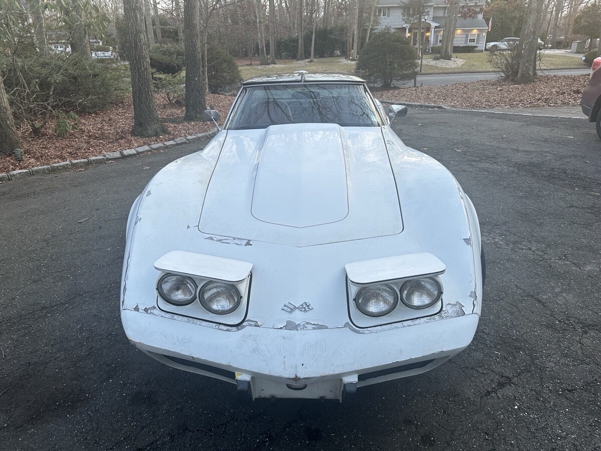 1979 Chevrolet Corvette Stingray - photo 6