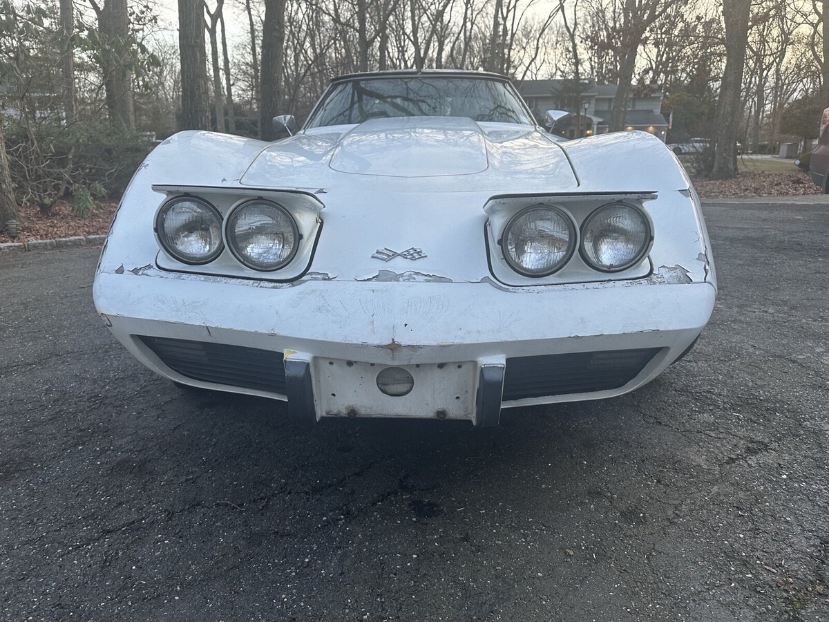 1979 Chevrolet Corvette Stingray - photo 7
