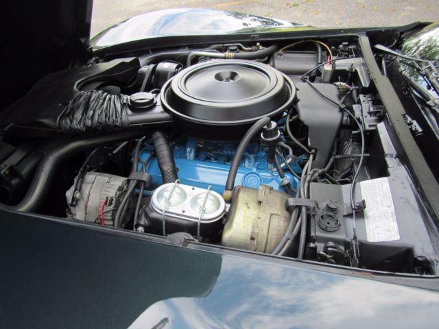 1979 Chevrolet Corvette Stingray - photo 11