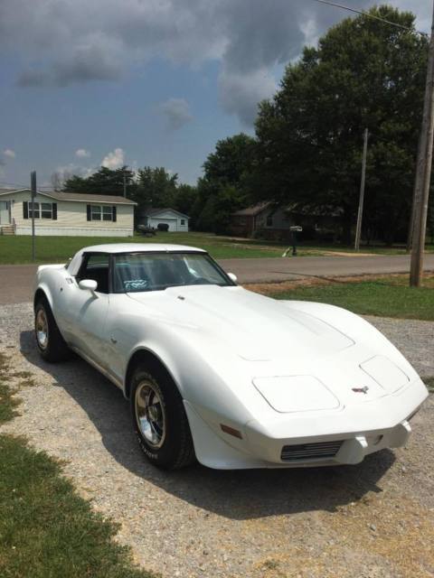 1979 Chevrolet Corvette C-3 - photo 2