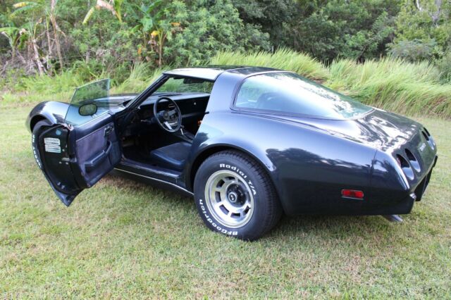 1979 Chevrolet Corvette L-82 Glass T-Tops 350 V8 Coupe 80+ HD Pictures - photo 12