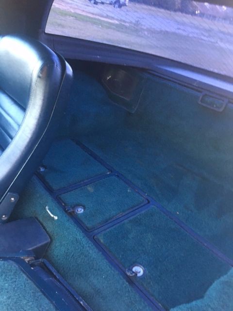 1979 Chevrolet Corvette Base Coupe 2-Door - photo 10
