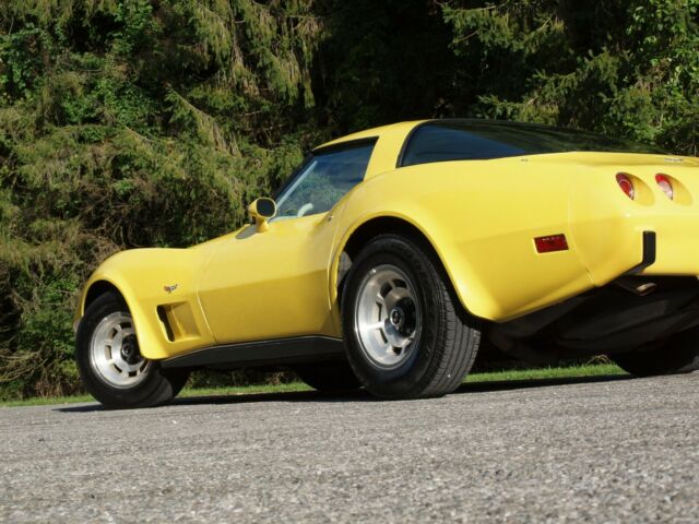 1979 Chevrolet Corvette - photo 4