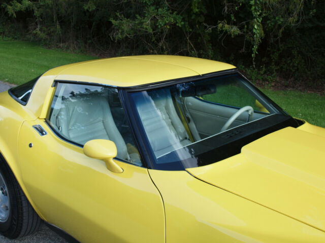 1979 Chevrolet Corvette - photo 9
