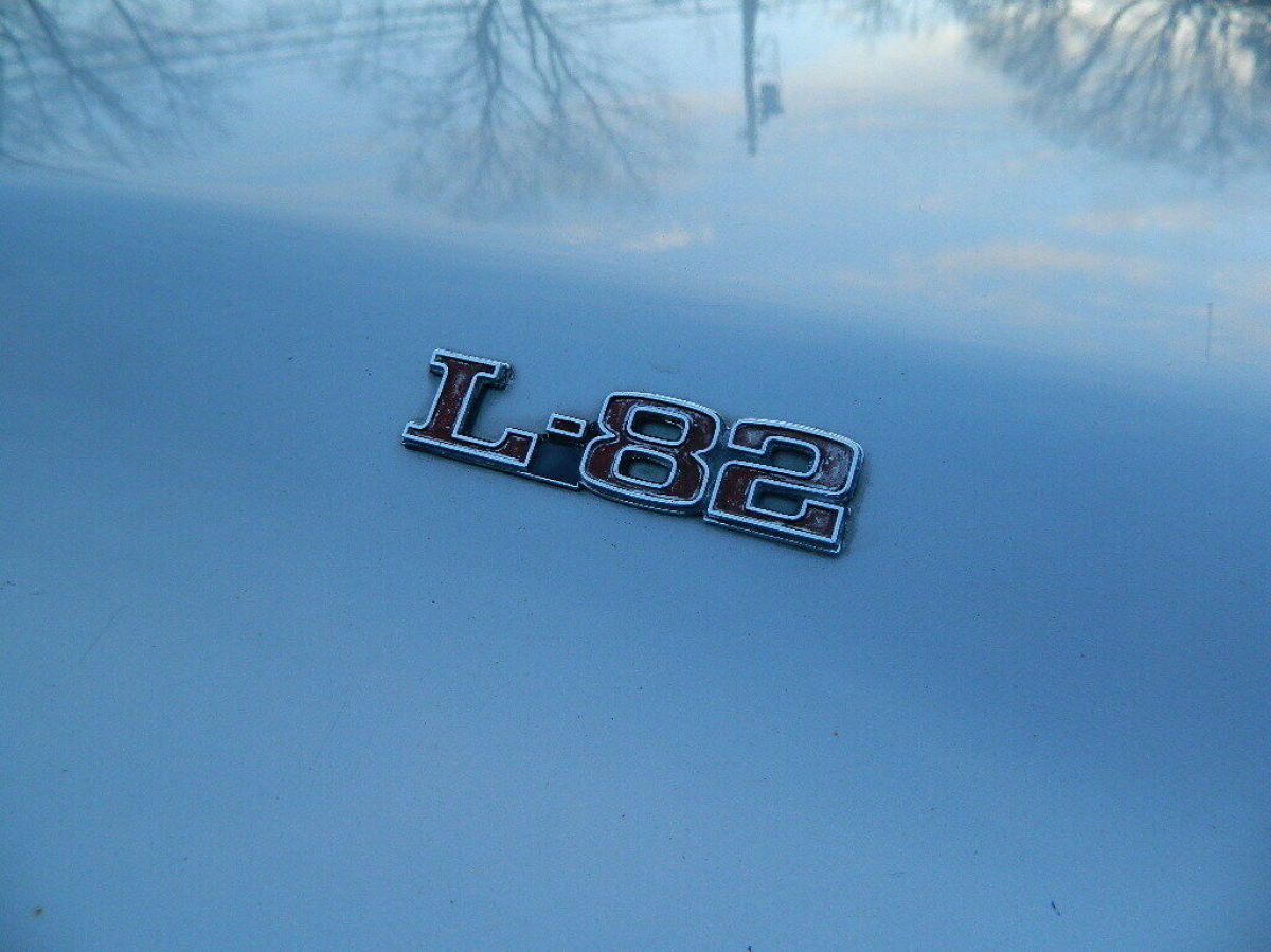 1979 Chevrolet Corvette L82 - photo 6