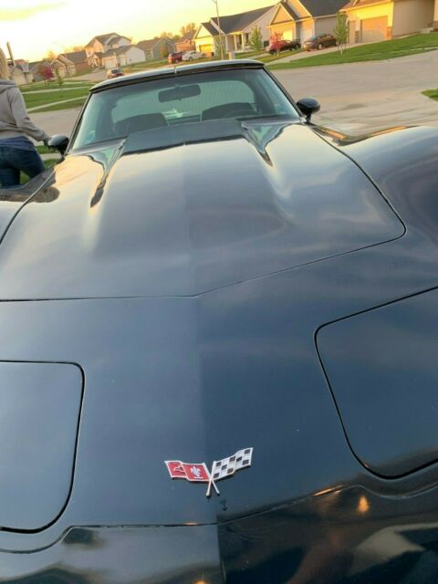 1979 Chevrolet Corvette Coupe L82 - photo 3