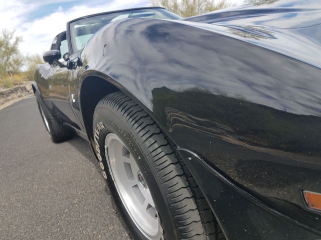 1979 Chevrolet Corvette L-82 4-SPEED - photo 11