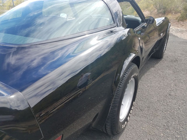 1979 Chevrolet Corvette L-82 4-SPEED - photo 12