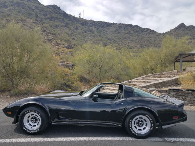 1979 Chevrolet Corvette L-82 4-SPEED - photo 9