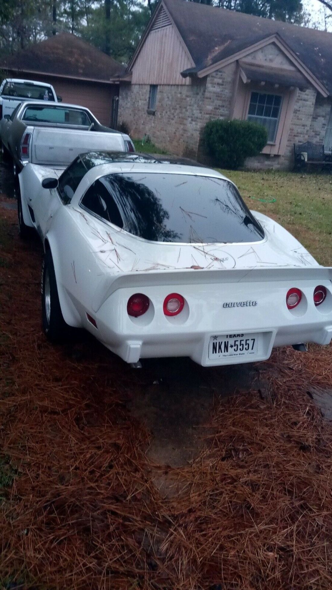1979 Chevrolet Corvette L82 L82 - photo 2