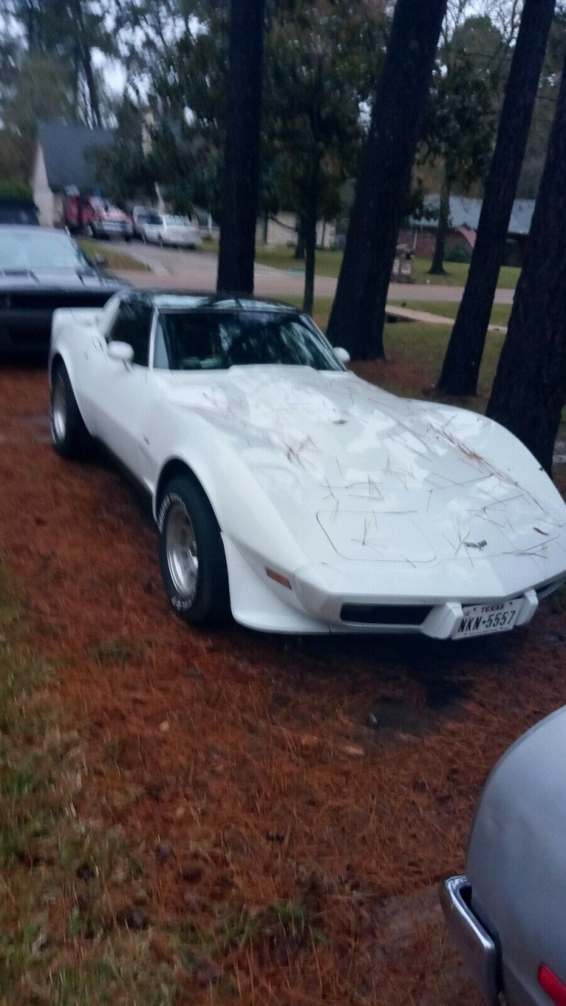 1979 Chevrolet Corvette L82 L82 - photo 3