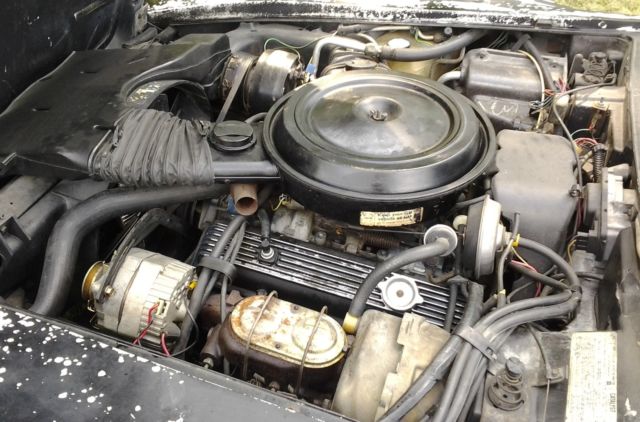 1979 Chevrolet Corvette - photo 12