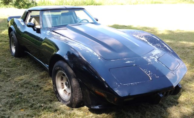 1979 Chevrolet Corvette - photo 2