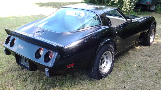 1979 Chevrolet Corvette - photo 3