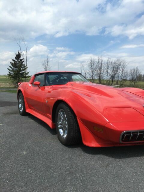 1979 Chevrolet Corvette - photo 4