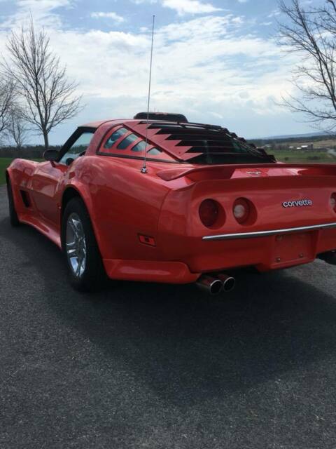 1979 Chevrolet Corvette - photo 8