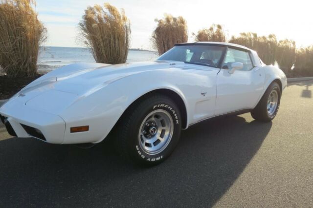 1979 Chevrolet Corvette -- - photo 5
