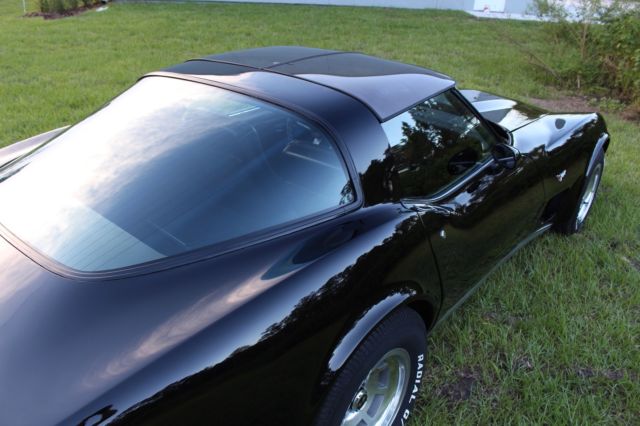 1979 Chevrolet Corvette StingRay T-Top - 77+ Pictures - MUST SEE - photo 11