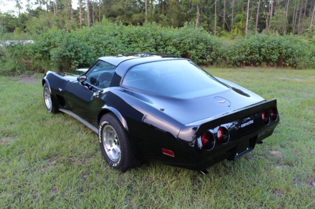 1979 Chevrolet Corvette StingRay T-Top - 77+ Pictures - MUST SEE - photo 4