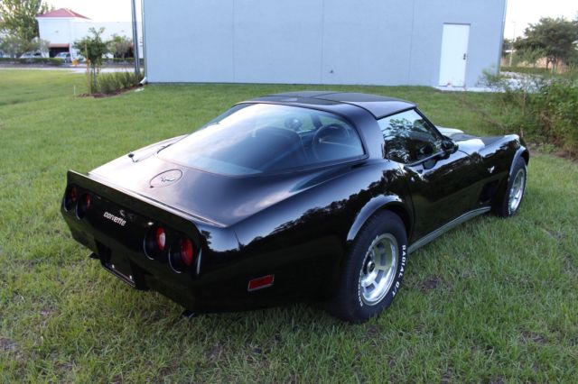 1979 Chevrolet Corvette StingRay T-Top - 77+ Pictures - MUST SEE - photo 5