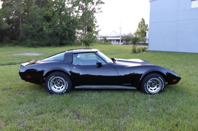 1979 Chevrolet Corvette StingRay T-Top - 77+ Pictures - MUST SEE - photo 6
