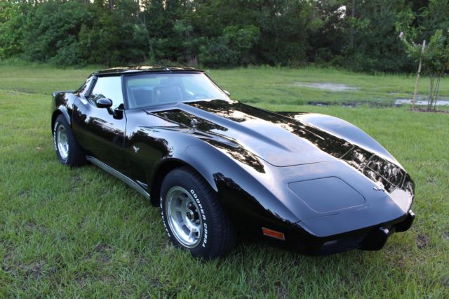 1979 Chevrolet Corvette StingRay T-Top - 77+ Pictures - MUST SEE - photo 7