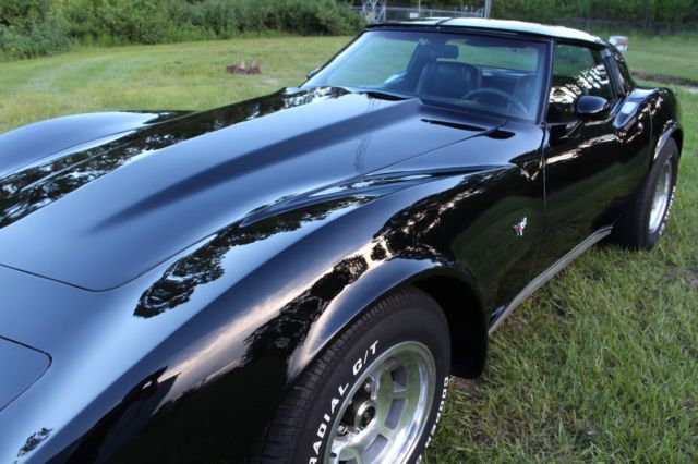 1979 Chevrolet Corvette StingRay T-Top - 77+ Pictures - MUST SEE - photo 8