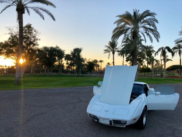 1979 Chevrolet Corvette - photo 10