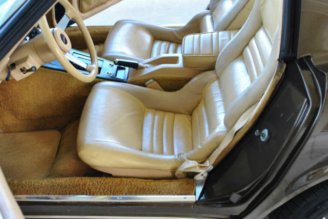 1979 Chevrolet Corvette Coupe - photo 6