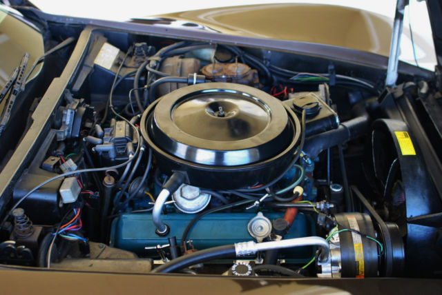 1979 Chevrolet Corvette Coupe - photo 8