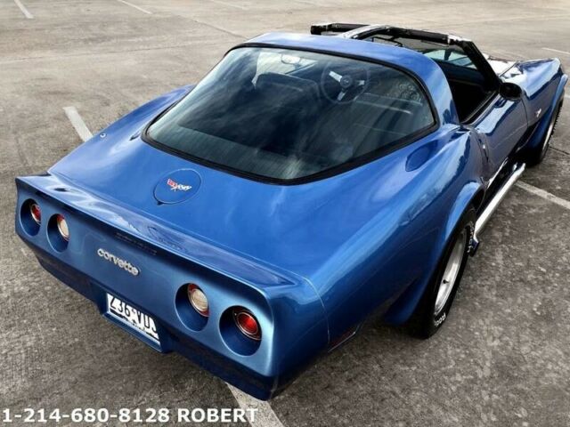 1979 Chevrolet Corvette T-TOPS - photo 12