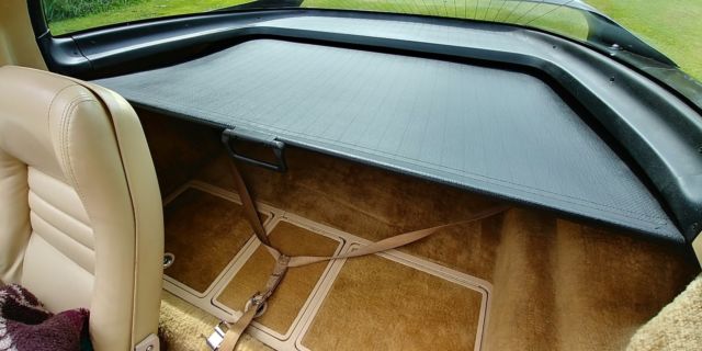 1979 Chevrolet Corvette - photo 10