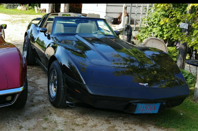 1979 Chevrolet Corvette - photo 2