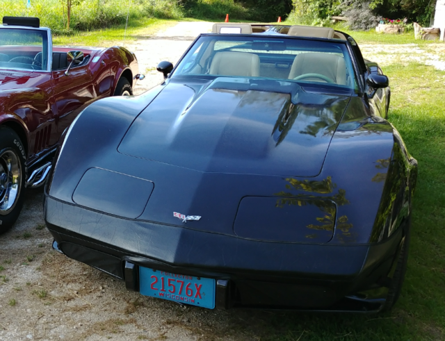 1979 Chevrolet Corvette - photo 3