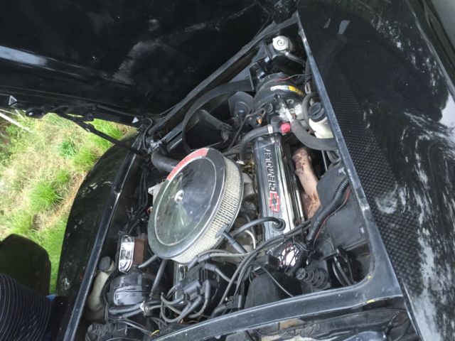 1979 Chevrolet Corvette - photo 3