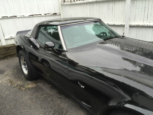 1979 Chevrolet Corvette - photo 8